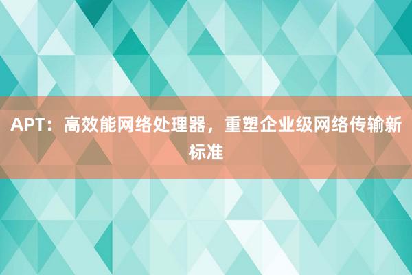 APT：高效能网络处理器，重塑企业级网络传输新标准