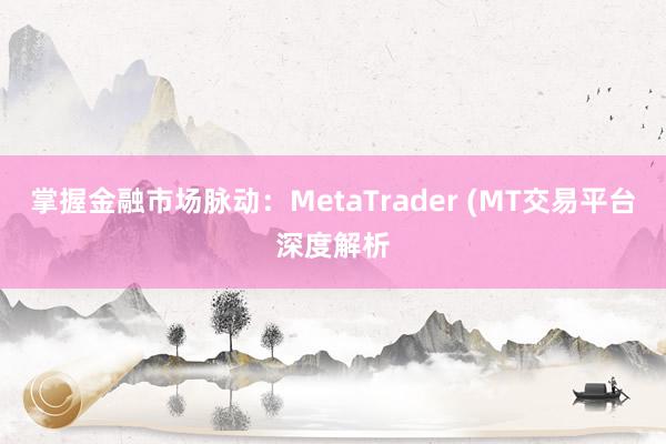 掌握金融市场脉动：MetaTrader (MT交易平台深度解析