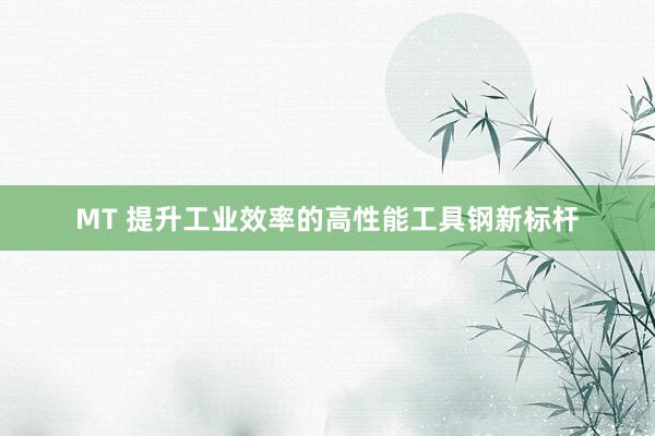 MT 提升工业效率的高性能工具钢新标杆