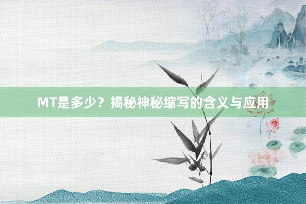 MT是多少？揭秘神秘缩写的含义与应用