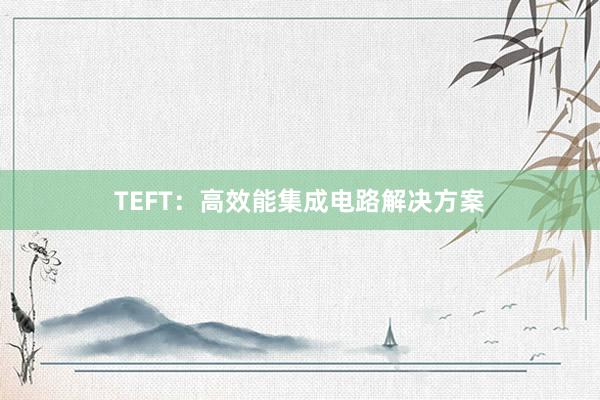 TEFT：高效能集成电路解决方案