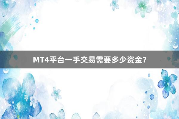 MT4平台一手交易需要多少资金？