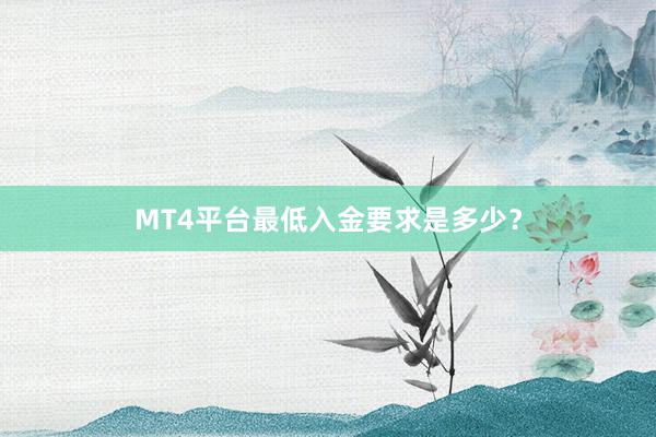 MT4平台最低入金要求是多少？