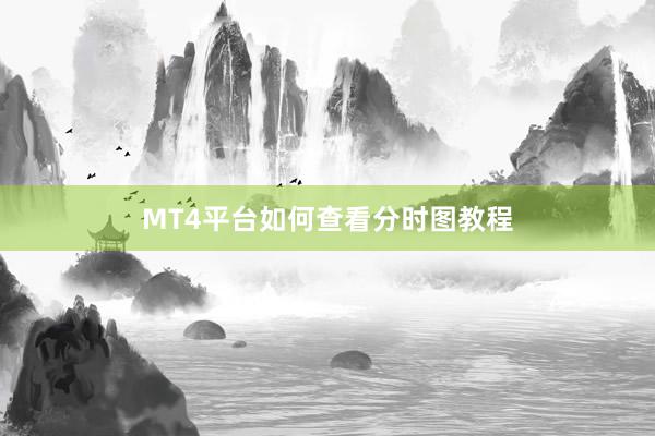 MT4平台如何查看分时图教程