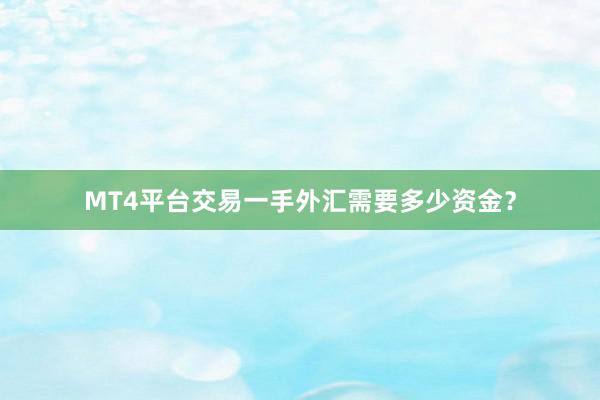 MT4平台交易一手外汇需要多少资金？