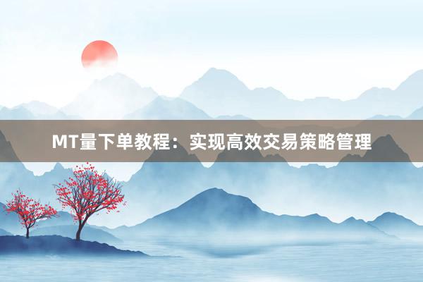 MT量下单教程：实现高效交易策略管理