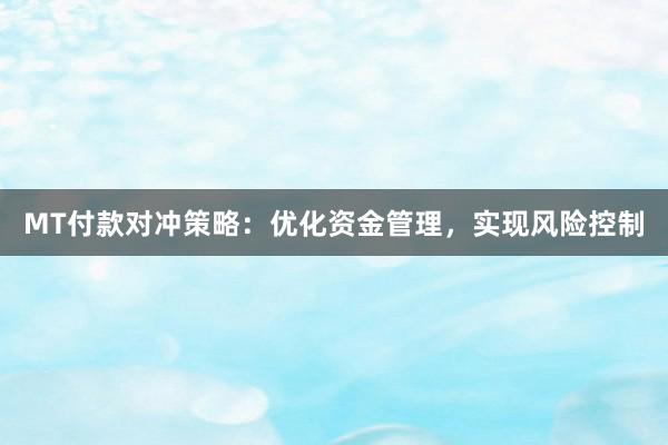 MT付款对冲策略：优化资金管理，实现风险控制