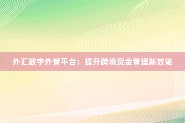 外汇数字外管平台：提升跨境资金管理新效能