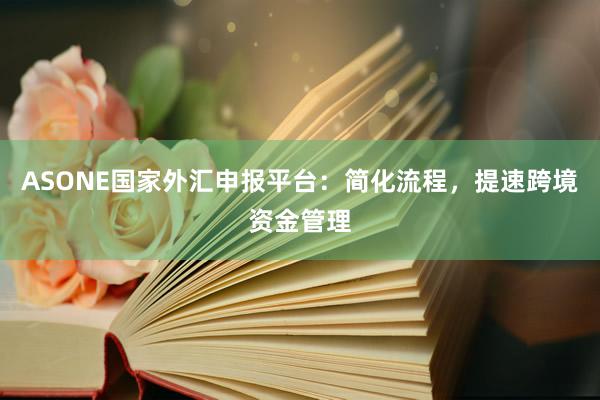 ASONE国家外汇申报平台：简化流程，提速跨境资金管理