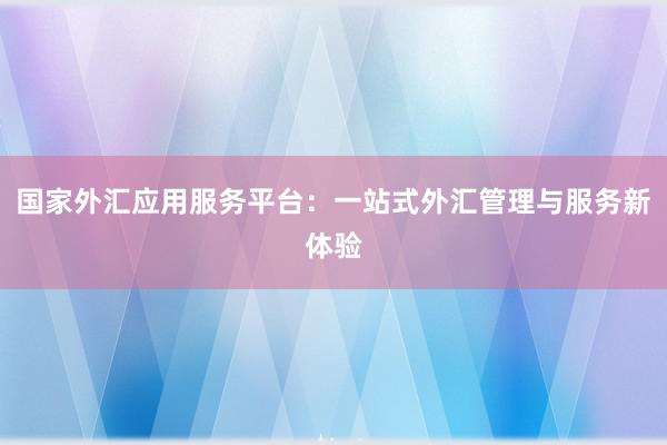 国家外汇应用服务平台：一站式外汇管理与服务新体验