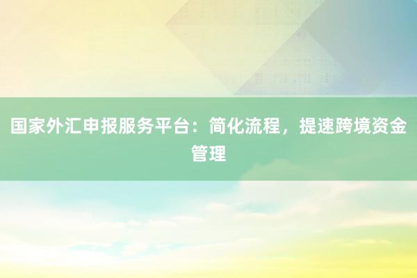 国家外汇申报服务平台：简化流程，提速跨境资金管理